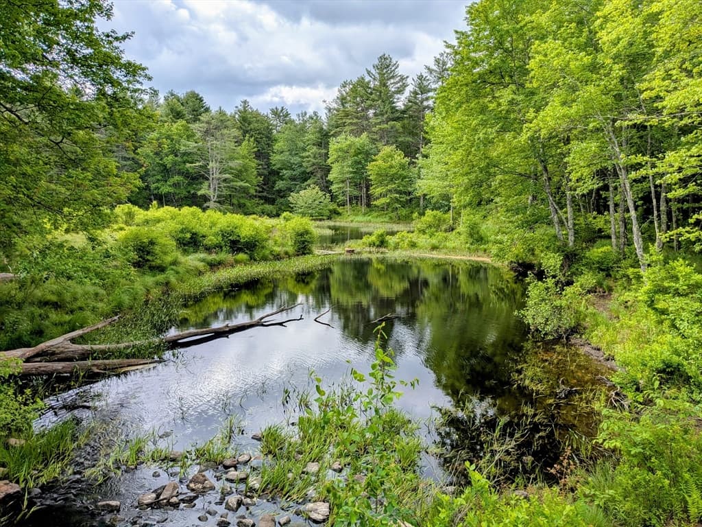 Lot 5A Old Colony Rd, Princeton MA 01541 photo 9
