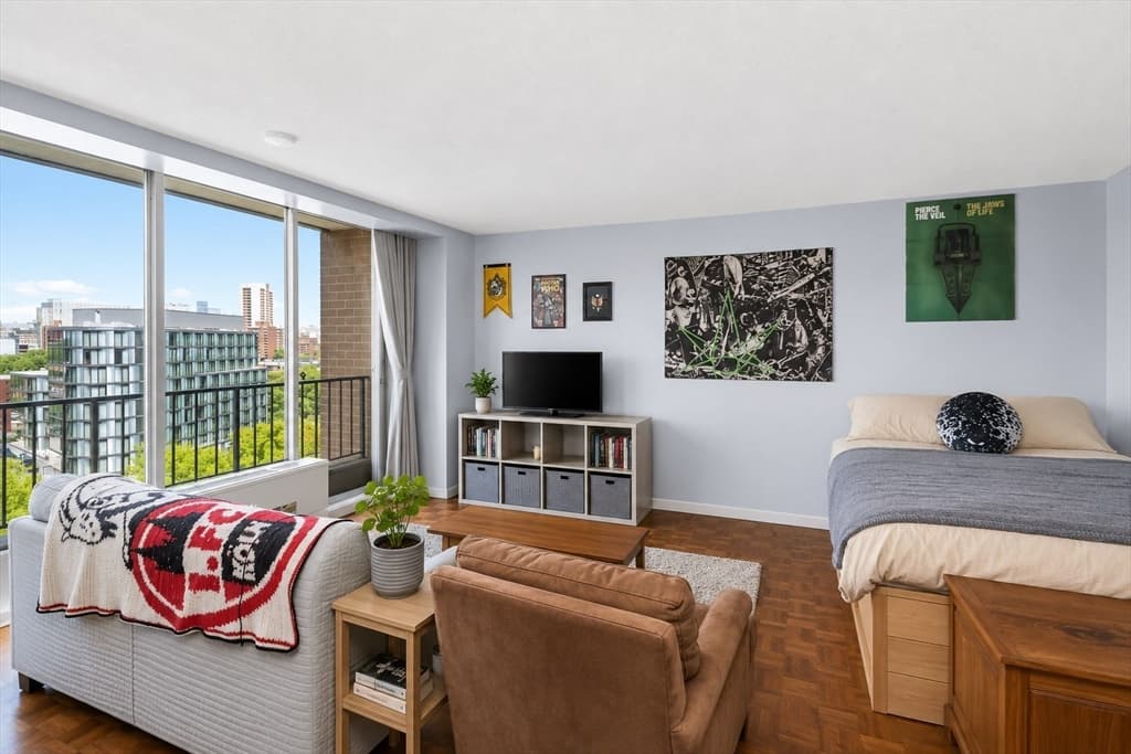 Condominium at 44 Washington St # 1113, Brookline MA 02446, Brookline, photo 4 of 28