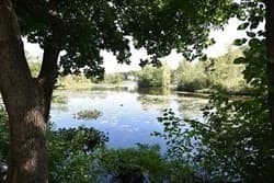 4D Forge Pond # D, Canton MA 02021 photo 39
