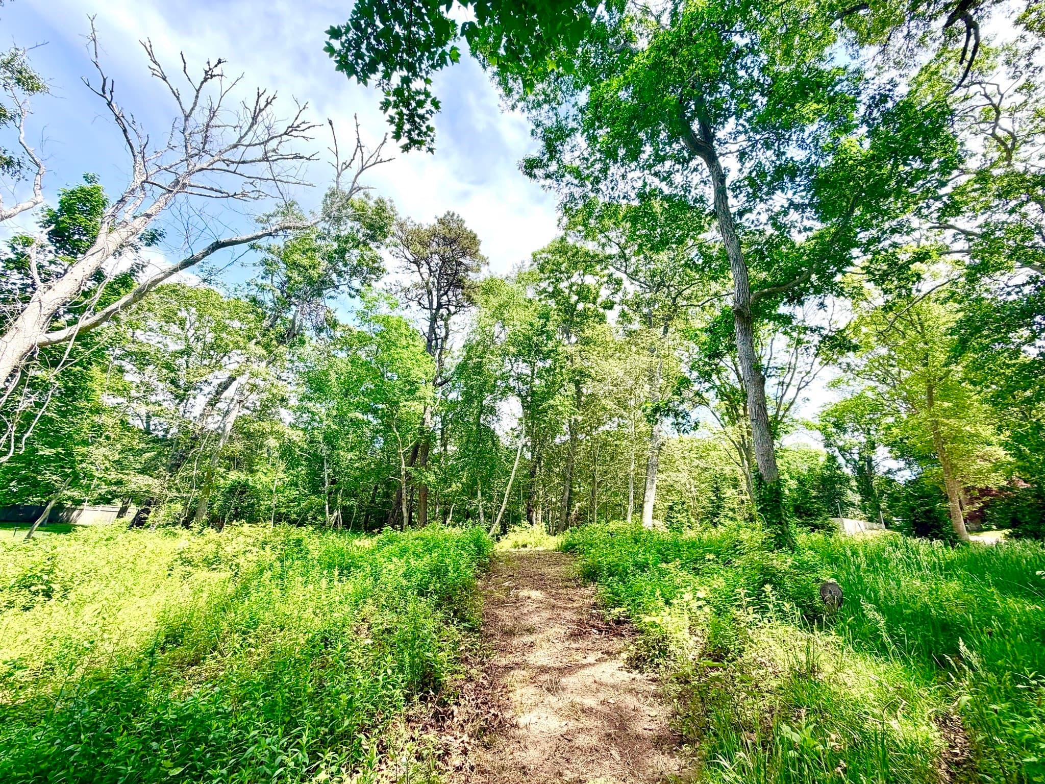 52 Heath Hen Ln., Tisbury MA 02568