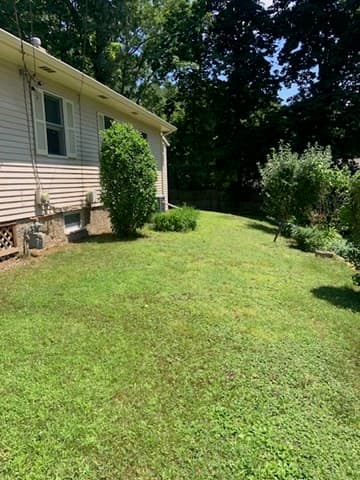 1468 Washington Street, Walpole MA 02081 photo 6