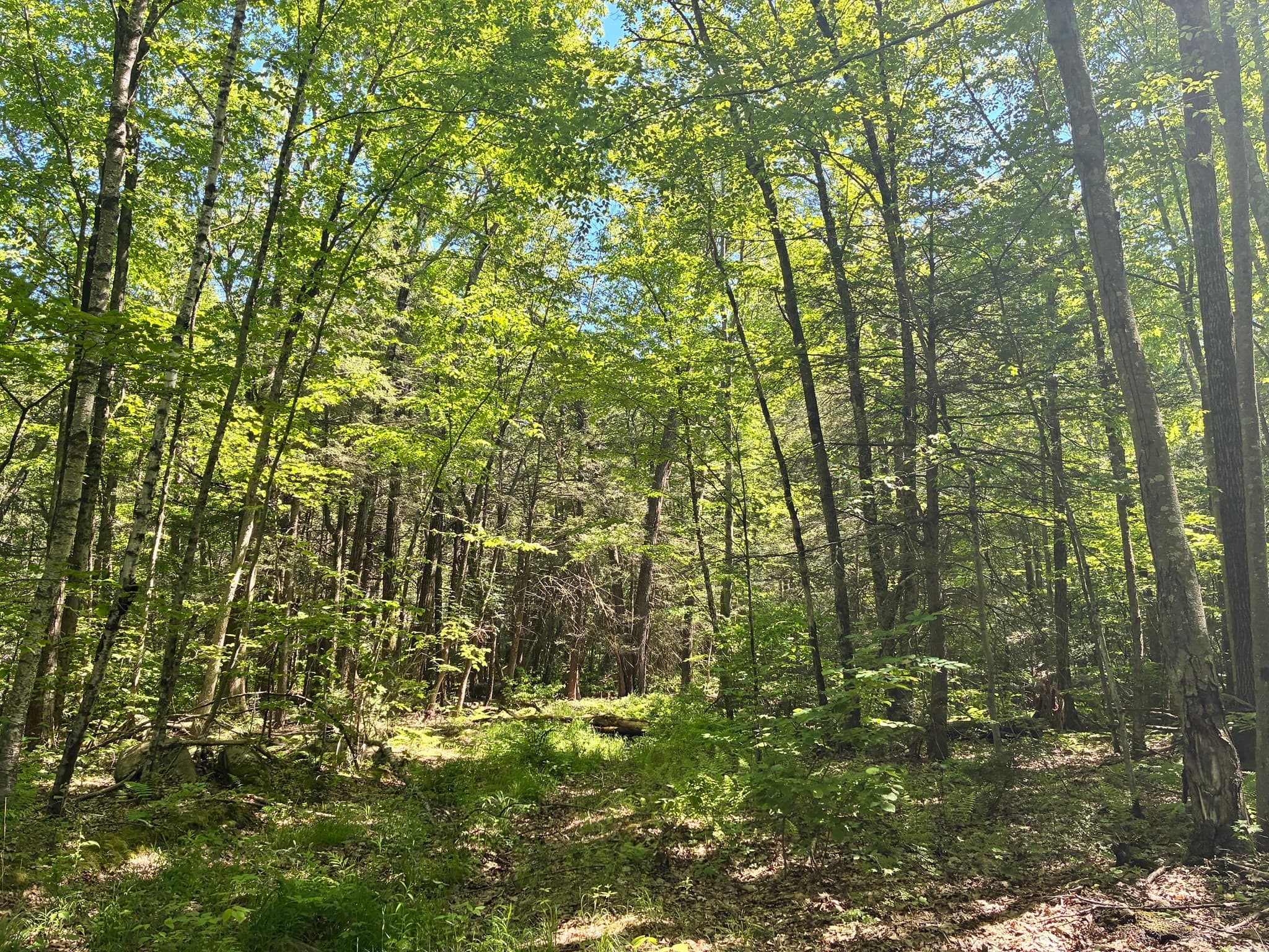 0 Summit St, Belchertown MA 01007