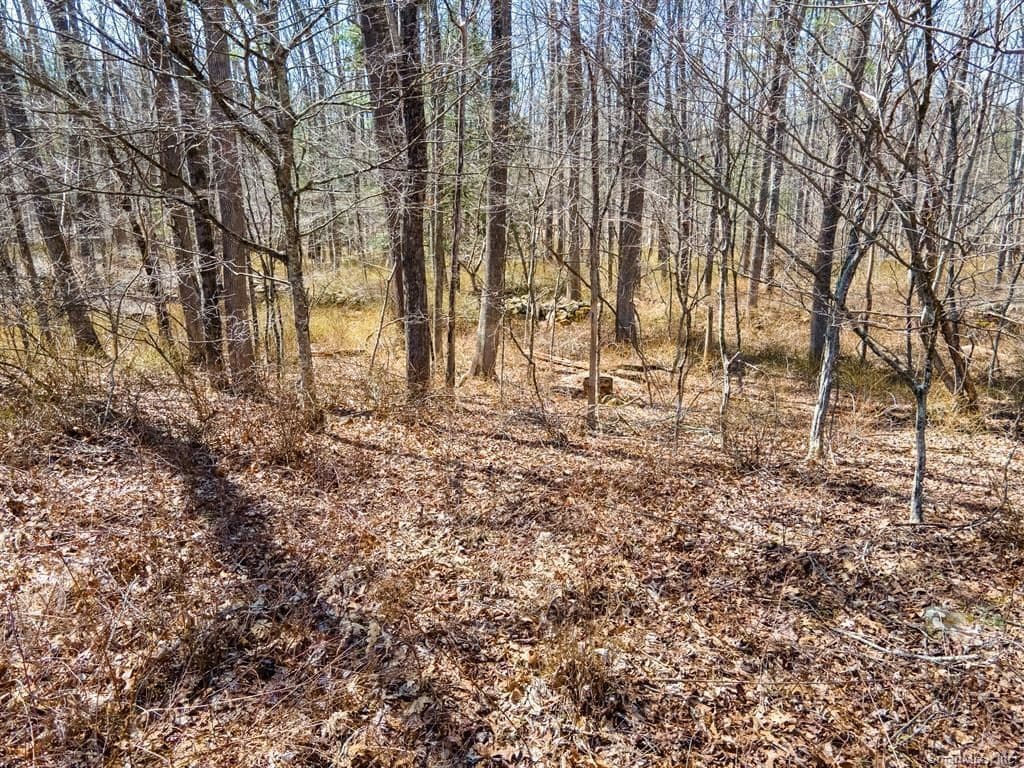 Single Family Residence at 36 Olde Meadow Road, Woodstock CT 06281, photo 6 of 13