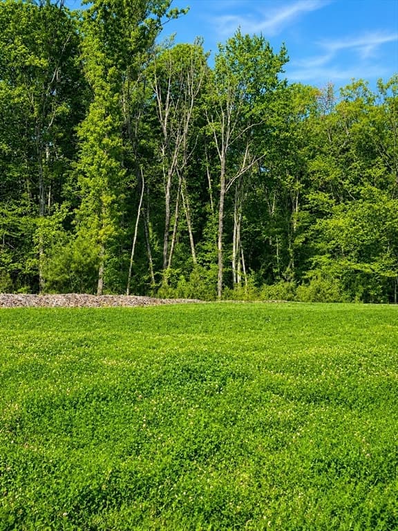 Single Family Residence at Lot 2 Spring Street, Franklin MA 02038, Franklin, photo 9 of 13