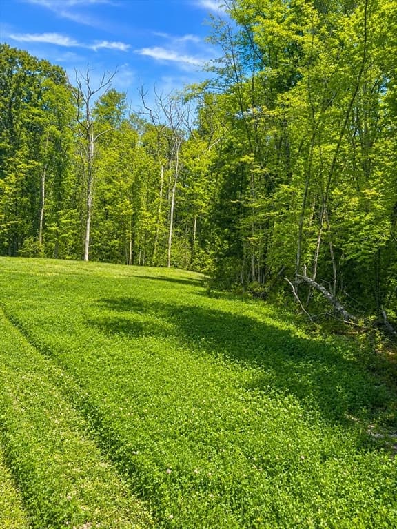 Single Family Residence at Lot 2 Spring Street, Franklin MA 02038, Franklin, photo 10 of 13