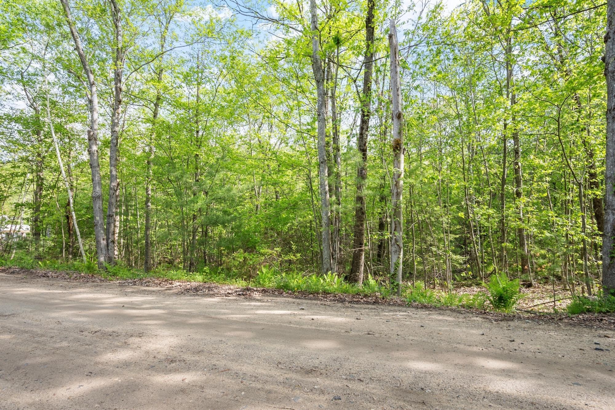 0 Whitney Rd, Ashby MA 01431