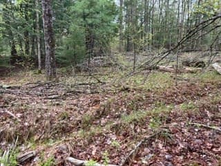 Residential at 0000 S Royalston Rd, Royalston MA 01368, photo 2 of 3