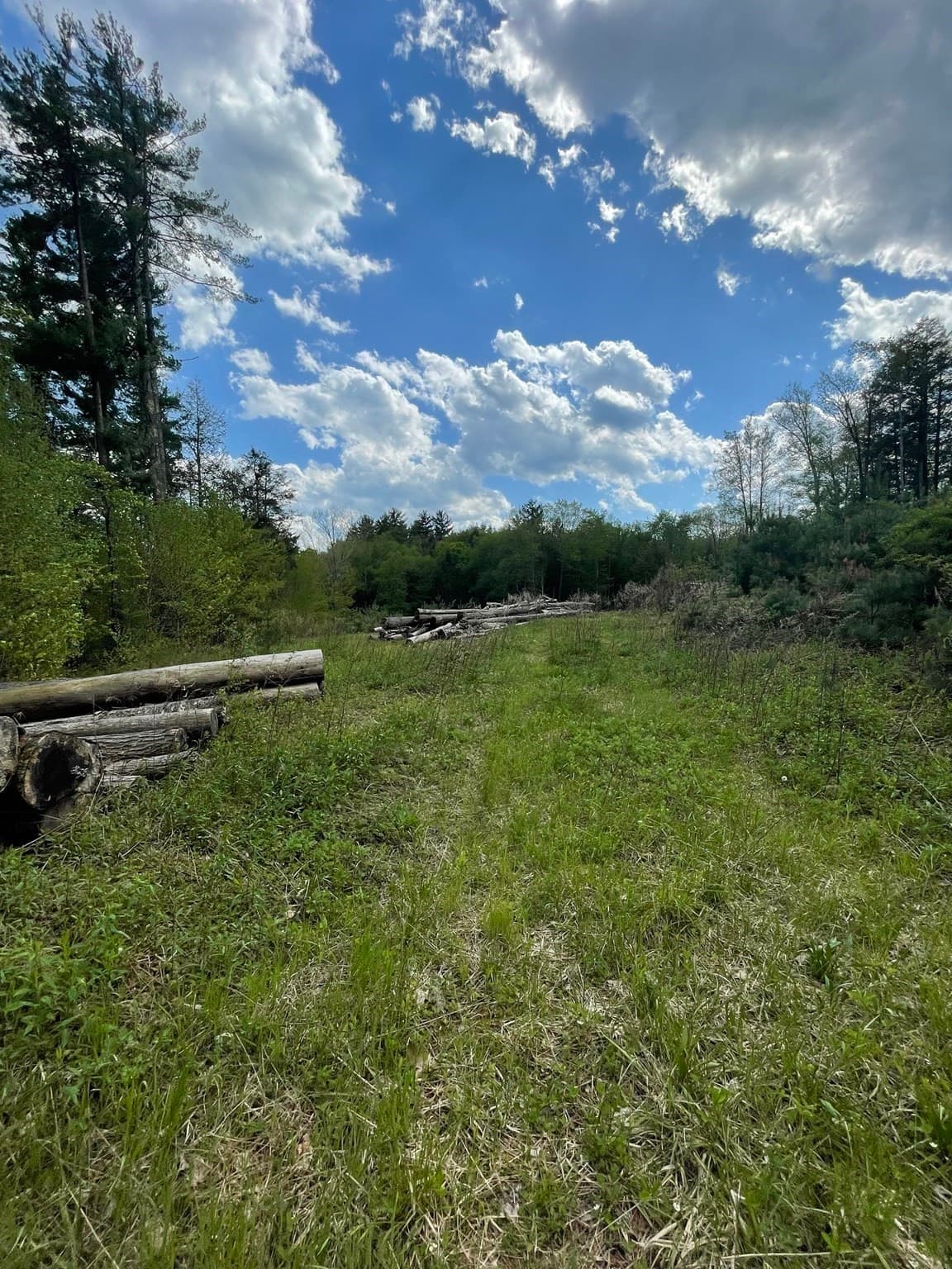 1282 Burt Hill Rd, Tolland MA 01034
