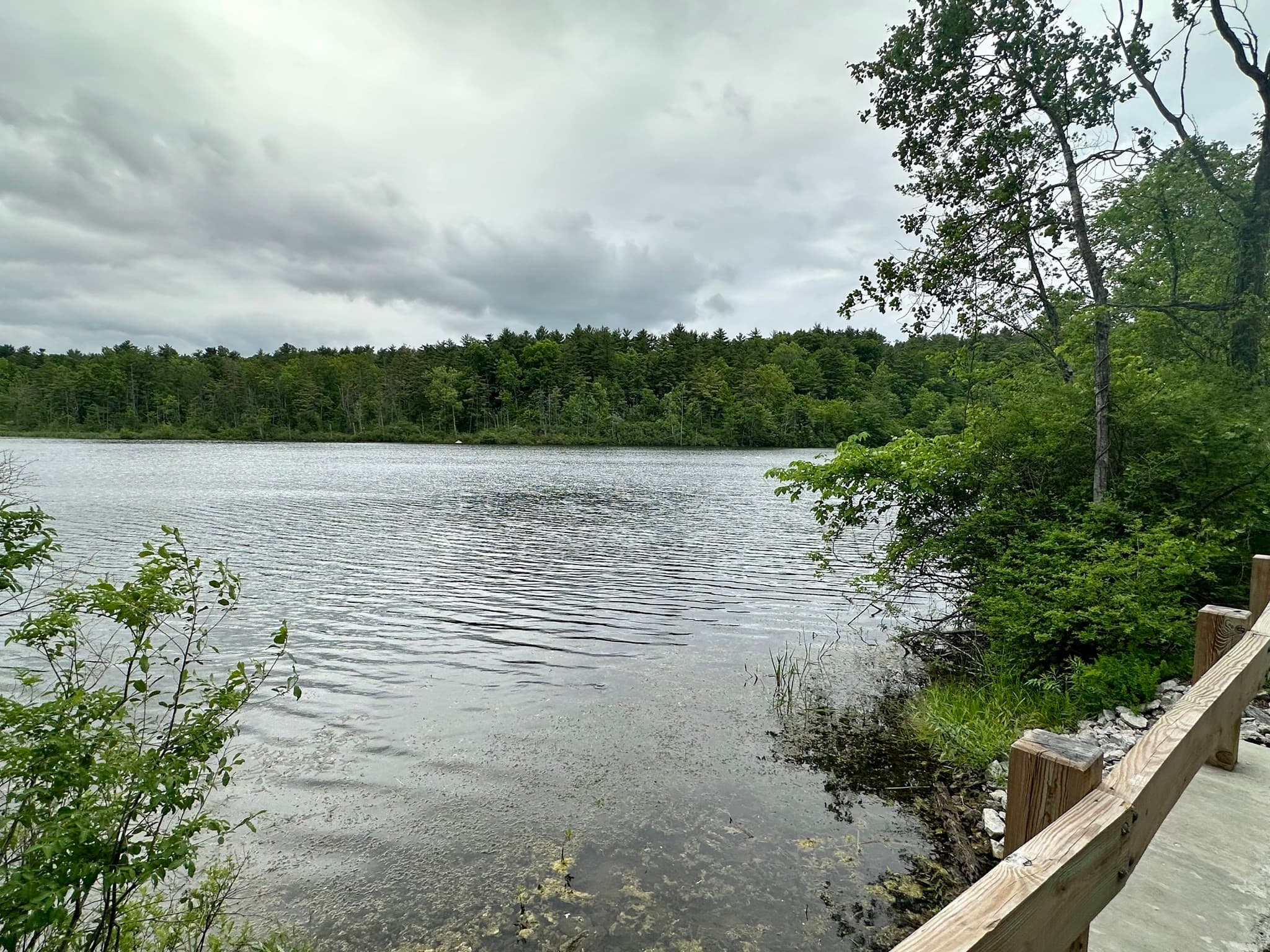 Residential at 0 Lake Mansfield Rd, Great Barrington MA 01230, Great Barrington, photo 6 of 7