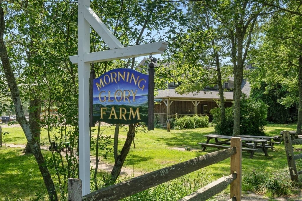99 Old Purchase Road, Edgartown MA 02539 photo 30