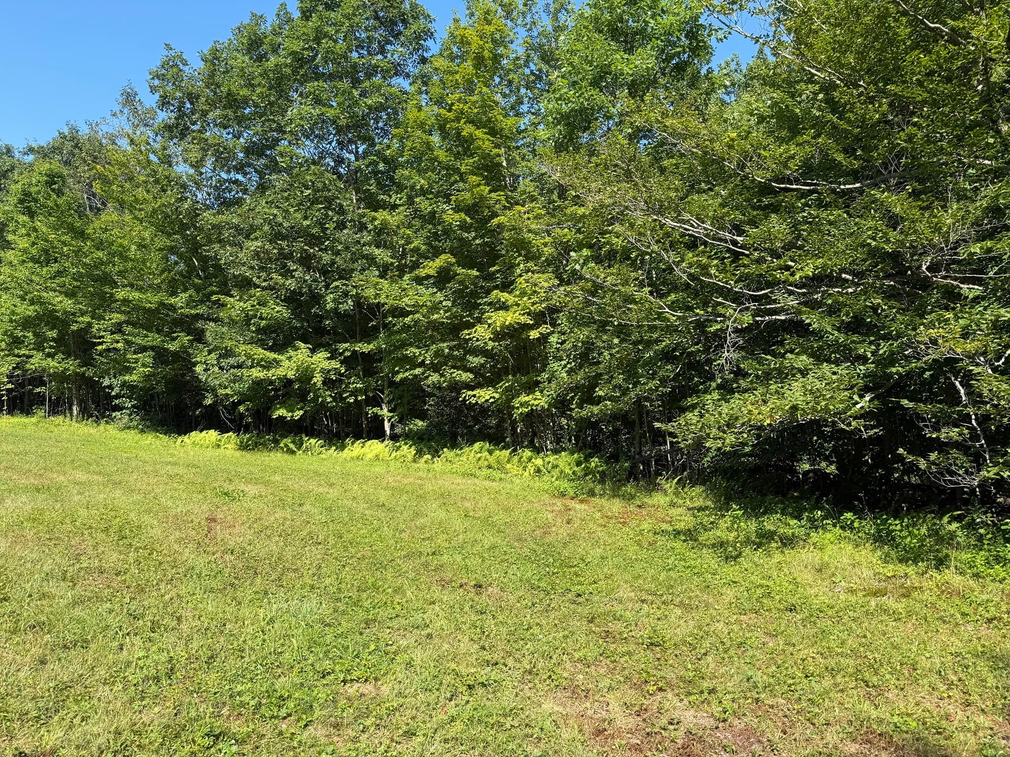 Residential at 10-2 Ingalls Raod, Jaffrey NH 03452, Jaffrey, photo 6 of 6