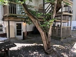 Condominium at 608 S Dorchester Ave, Boston MA 02127, Boston, photo 15 of 15