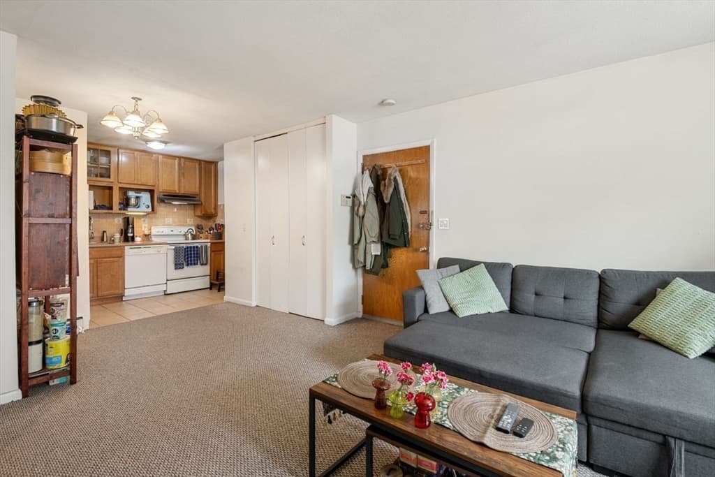 Condominium at 2 Larose Pl # 10, Boston MA 02135, photo 6 of 22