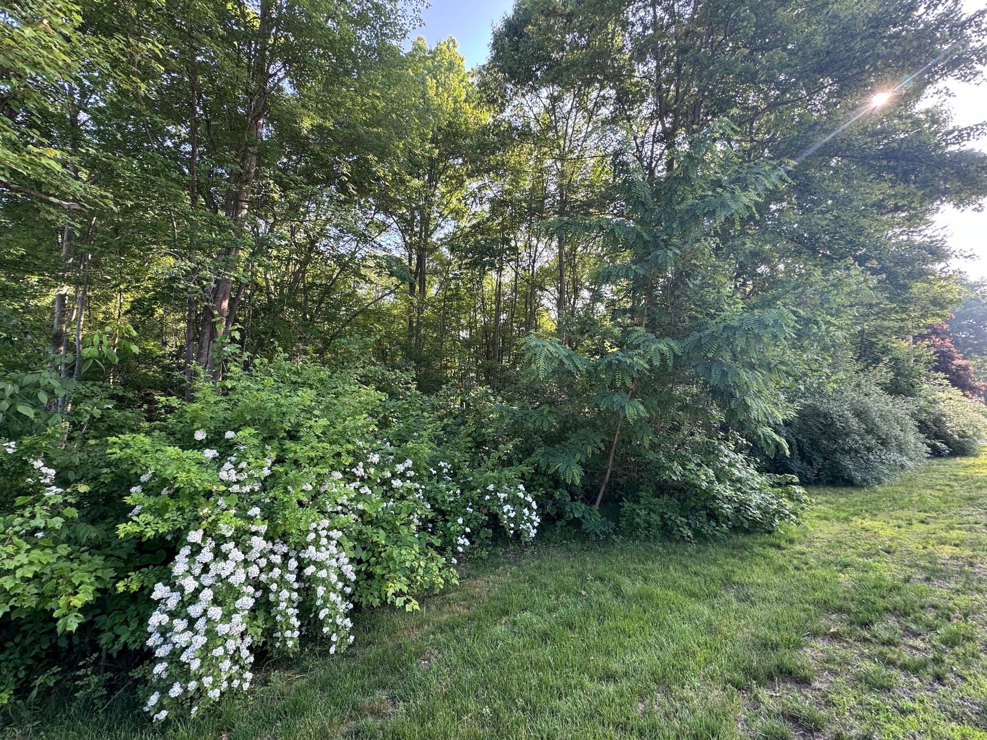 Residential at 36 Lake Parkway, Webster MA 01570, photo 6 of 8