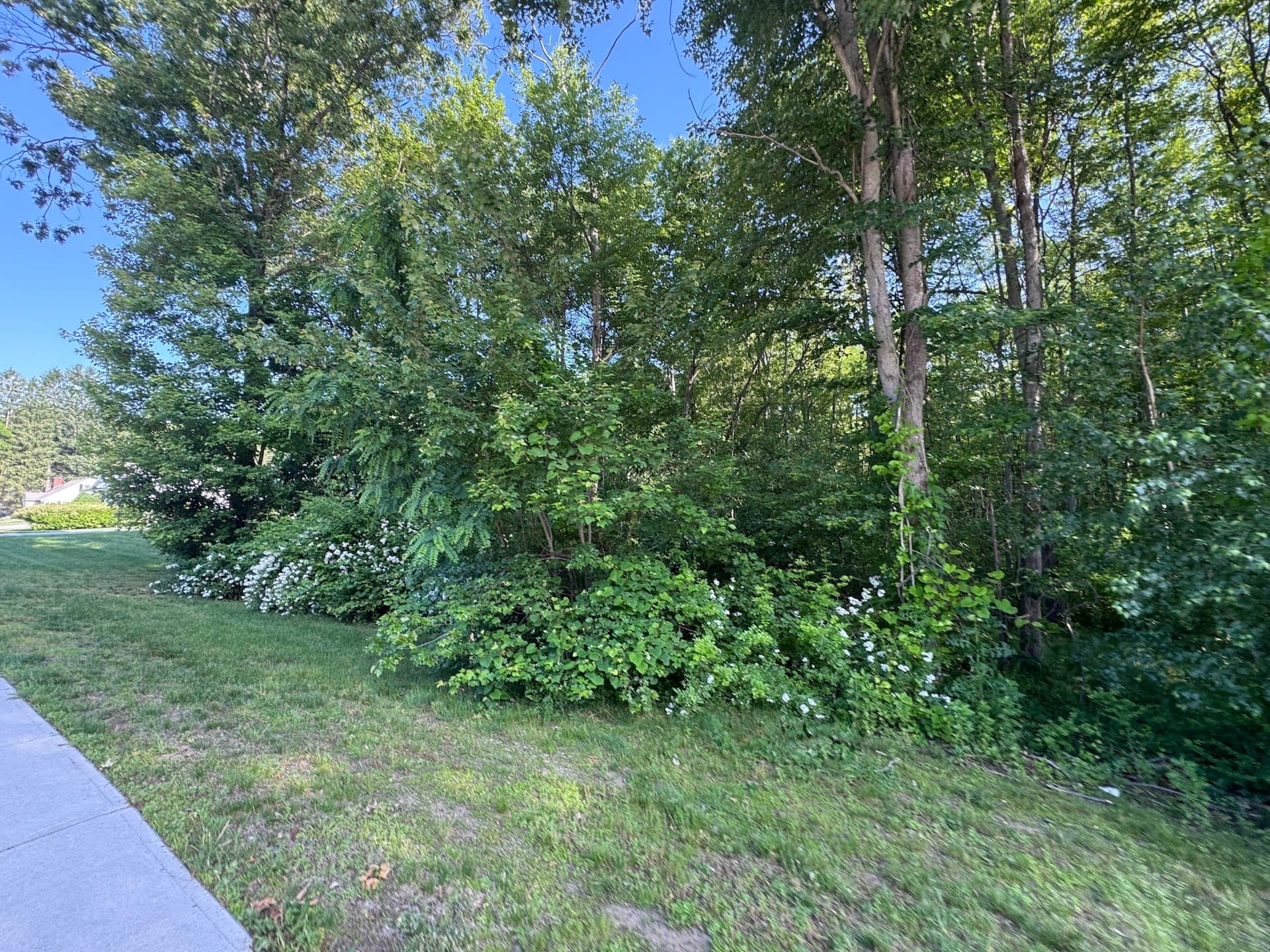 Residential at 36 Lake Parkway, Webster MA 01570, photo 7 of 8