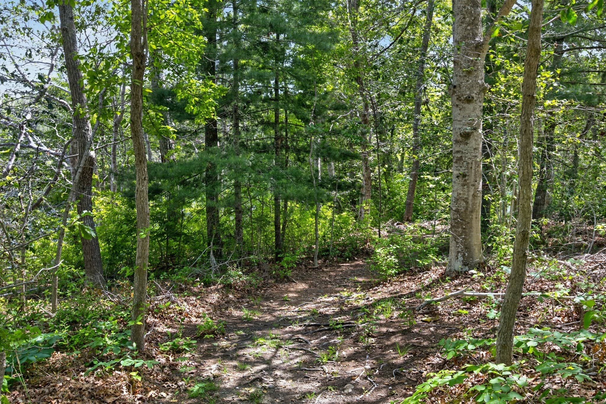 Residential at 20 Hirsch, Sandwich MA 02644, photo 6 of 25