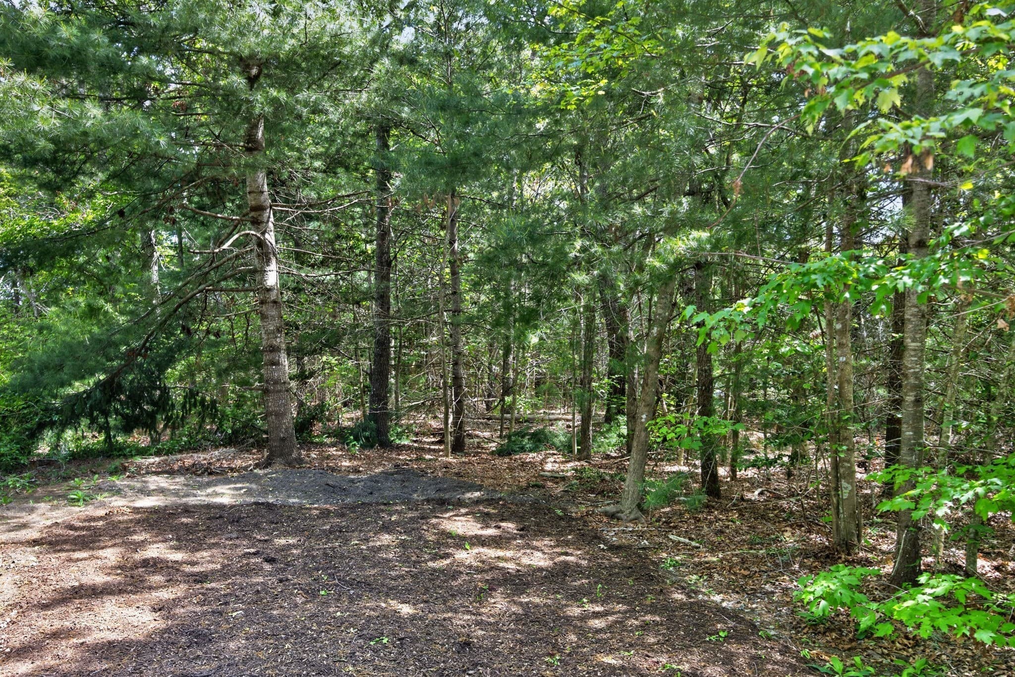 Residential at 20 Hirsch, Sandwich MA 02644, photo 7 of 25