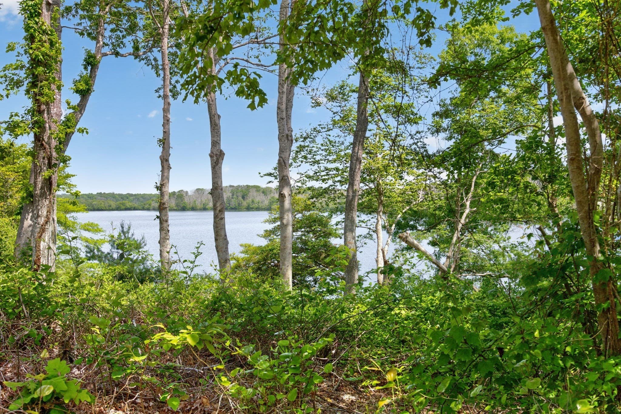 Residential at 20 Hirsch, Sandwich MA 02644, photo 5 of 25