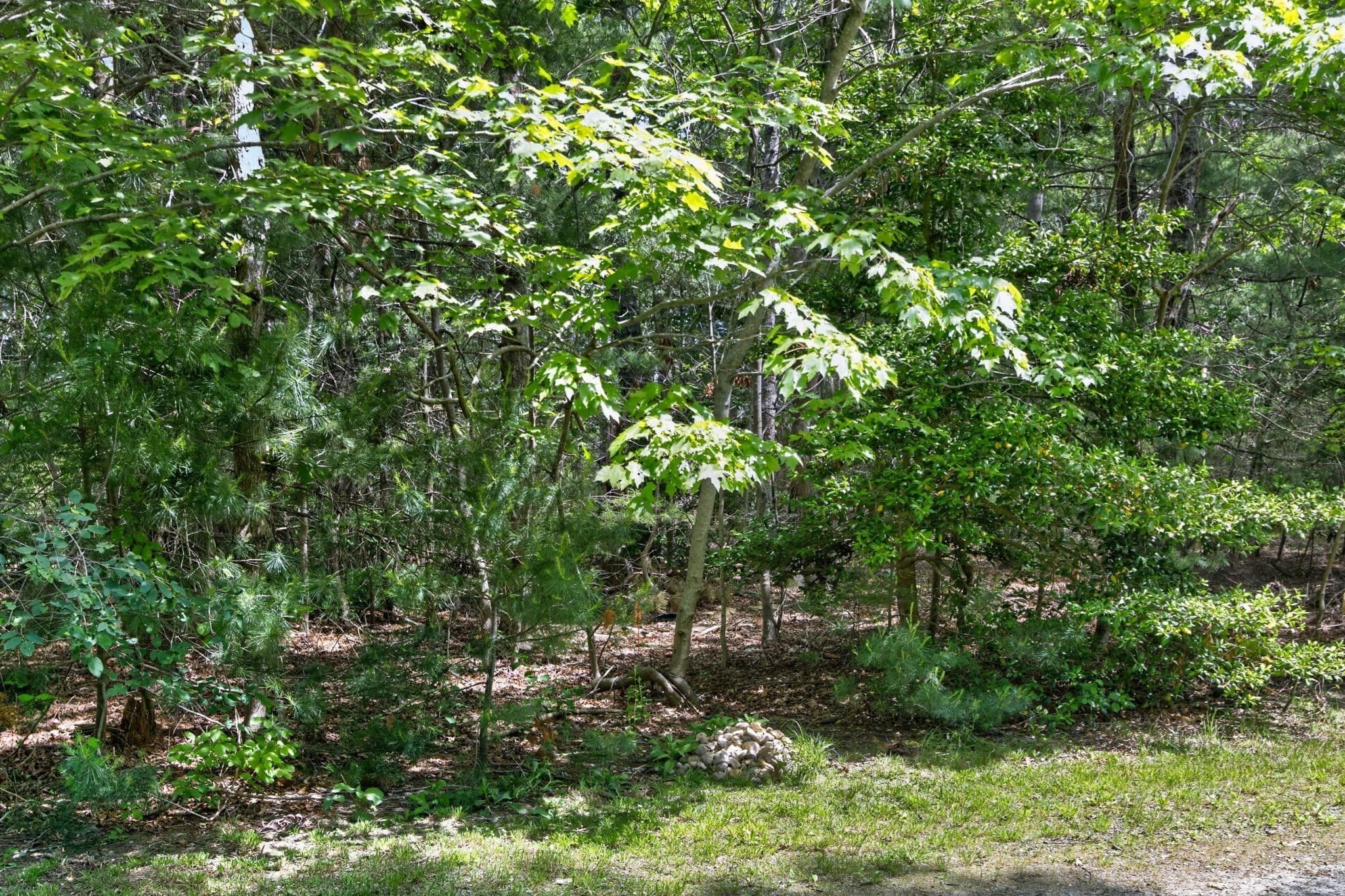 Residential at 20 Hirsch, Sandwich MA 02644, photo 9 of 25
