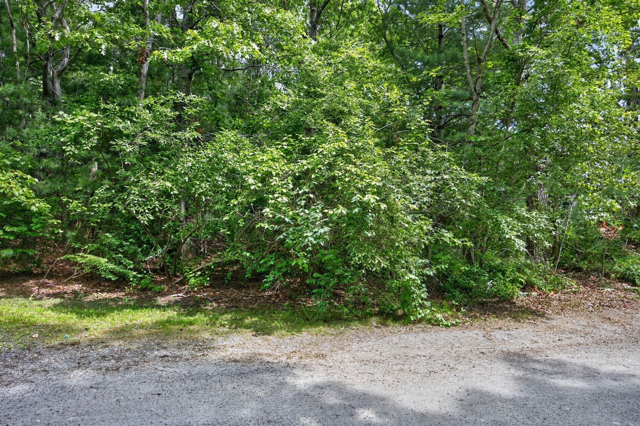 Residential at 20 Hirsch, Sandwich MA 02644, photo 14 of 25