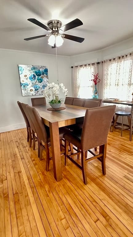 Single Family Residence at 603 Temple, Whitman MA 02382, photo 11 of 42