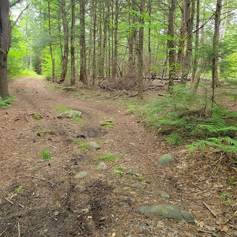 0 Stockwell Road, Royalston MA 01368