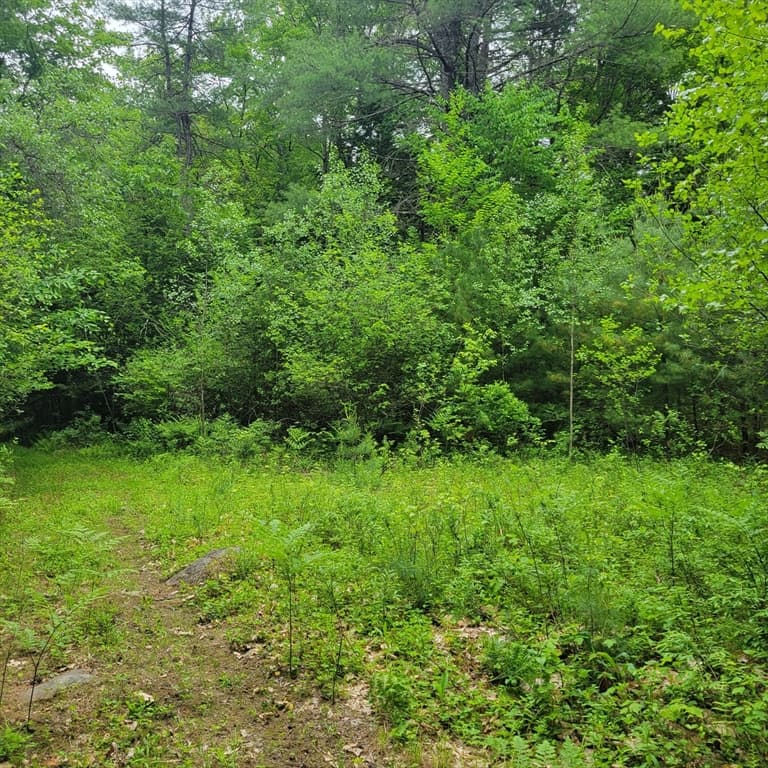 0 Stockwell Road, Royalston MA 01368 photo 5