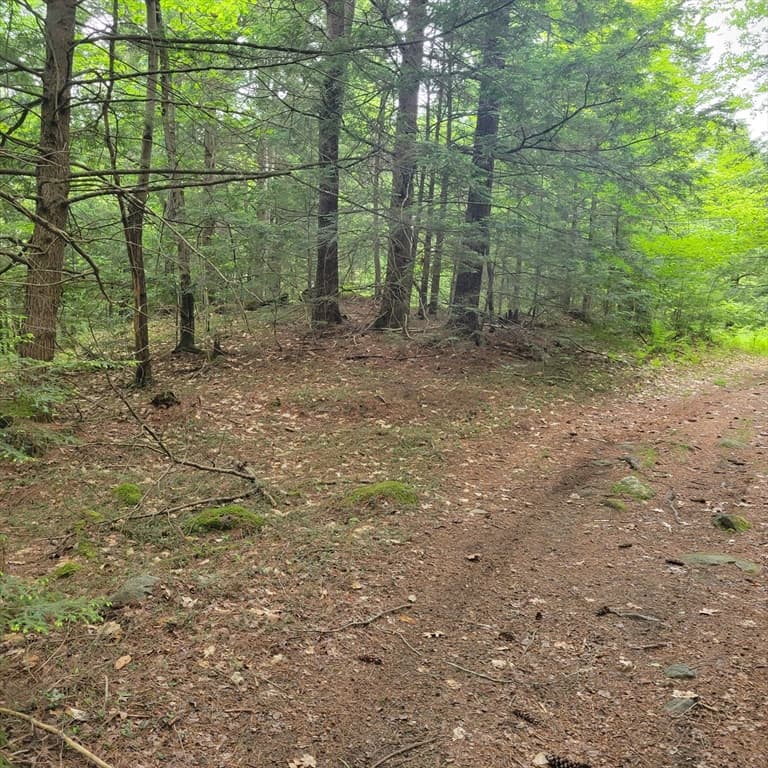 0 Stockwell Road, Royalston MA 01368 photo 4