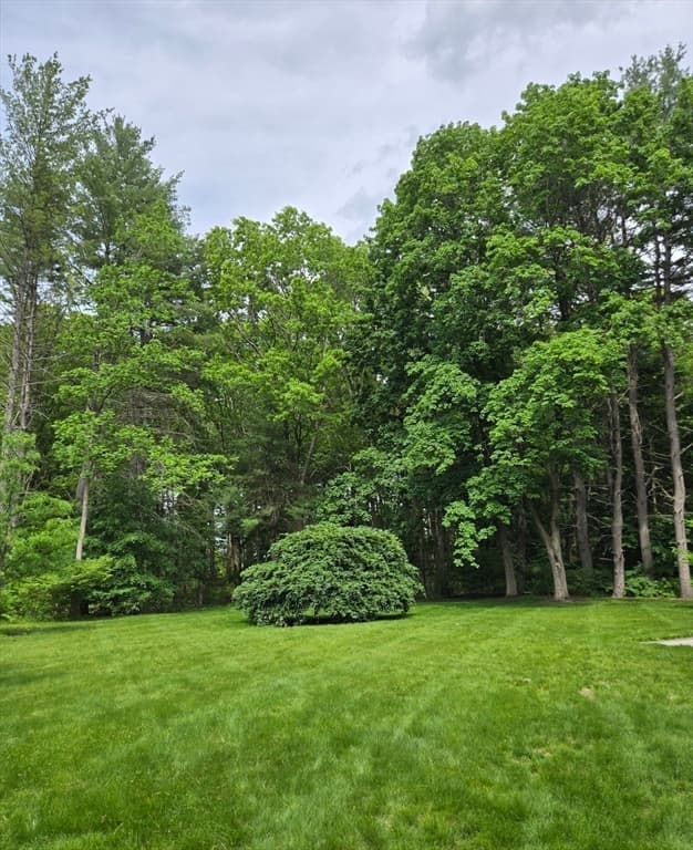 135 Williams Rd, Concord MA 01742 photo 2
