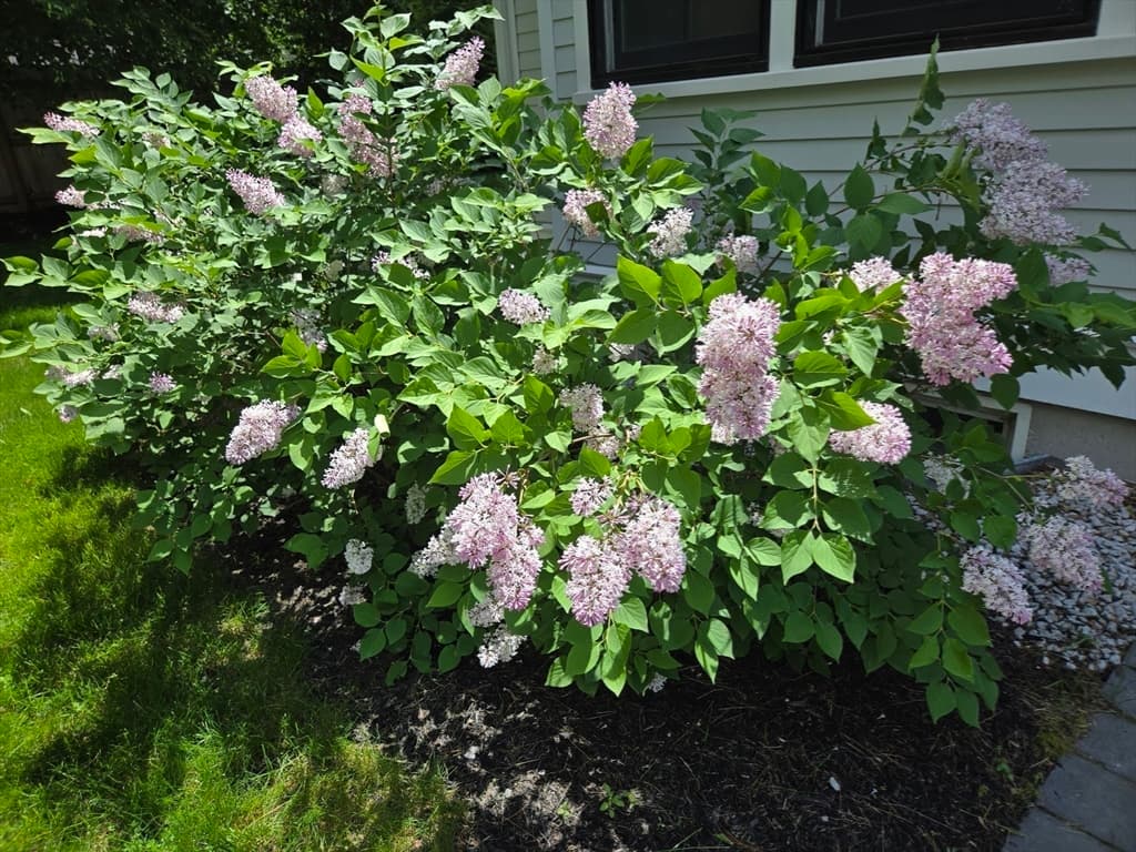 135 Williams Rd, Concord MA 01742 photo 24