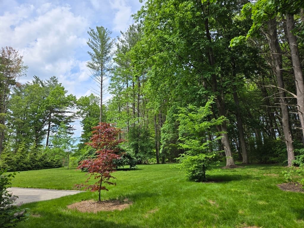 135 Williams Rd, Concord MA 01742 photo 4