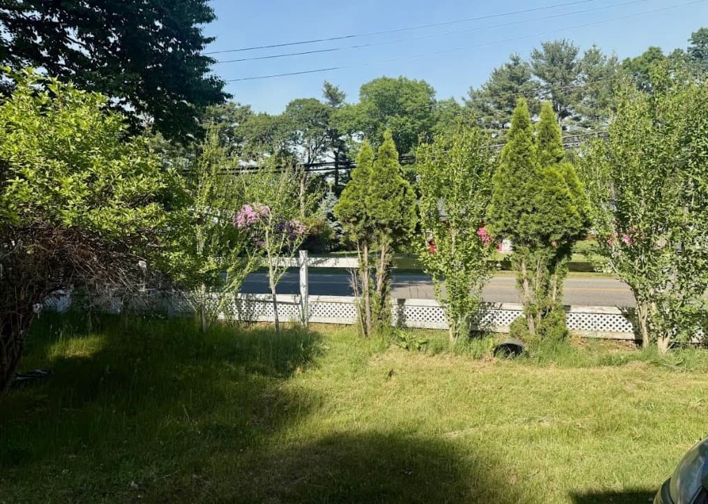 Single Family Residence at 209 Carl Ave, Brockton MA 02302, Brockton, photo 9 of 14