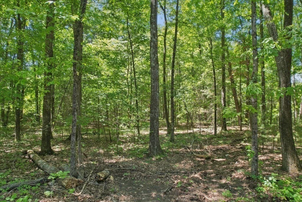 Residential at 103 Green Street, Northborough MA 01532, Northborough, photo 4 of 6