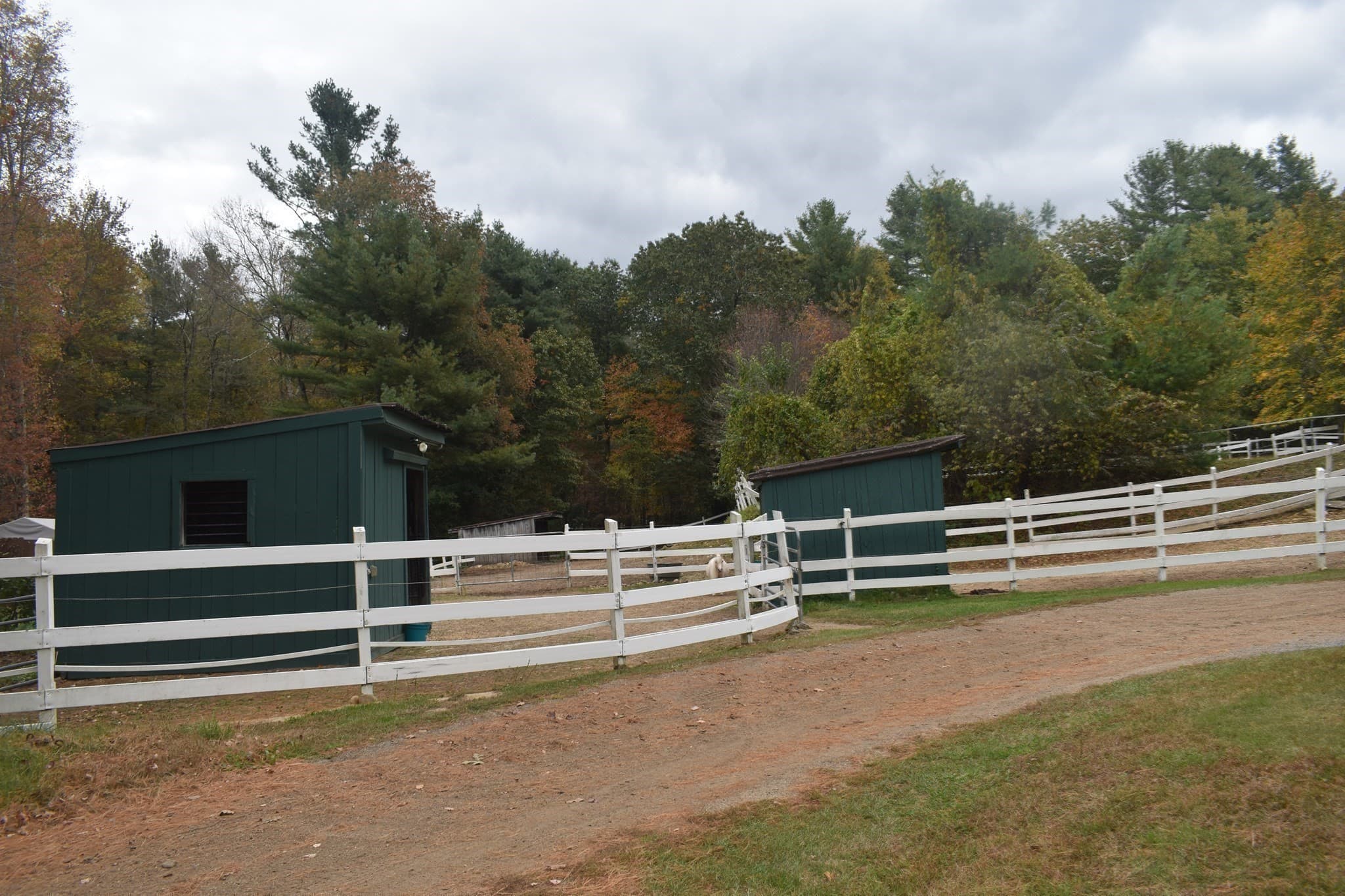 Equestrian at 26 Mill Rd, North Brookfield MA 01535, North Brookfield, photo 18 of 21