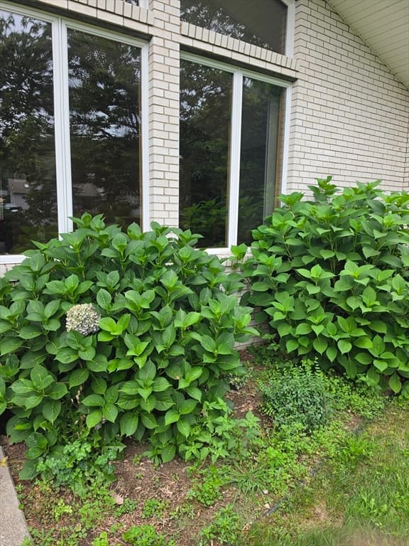 80 Elizabeth Dr, Ludlow MA 01056 photo 4