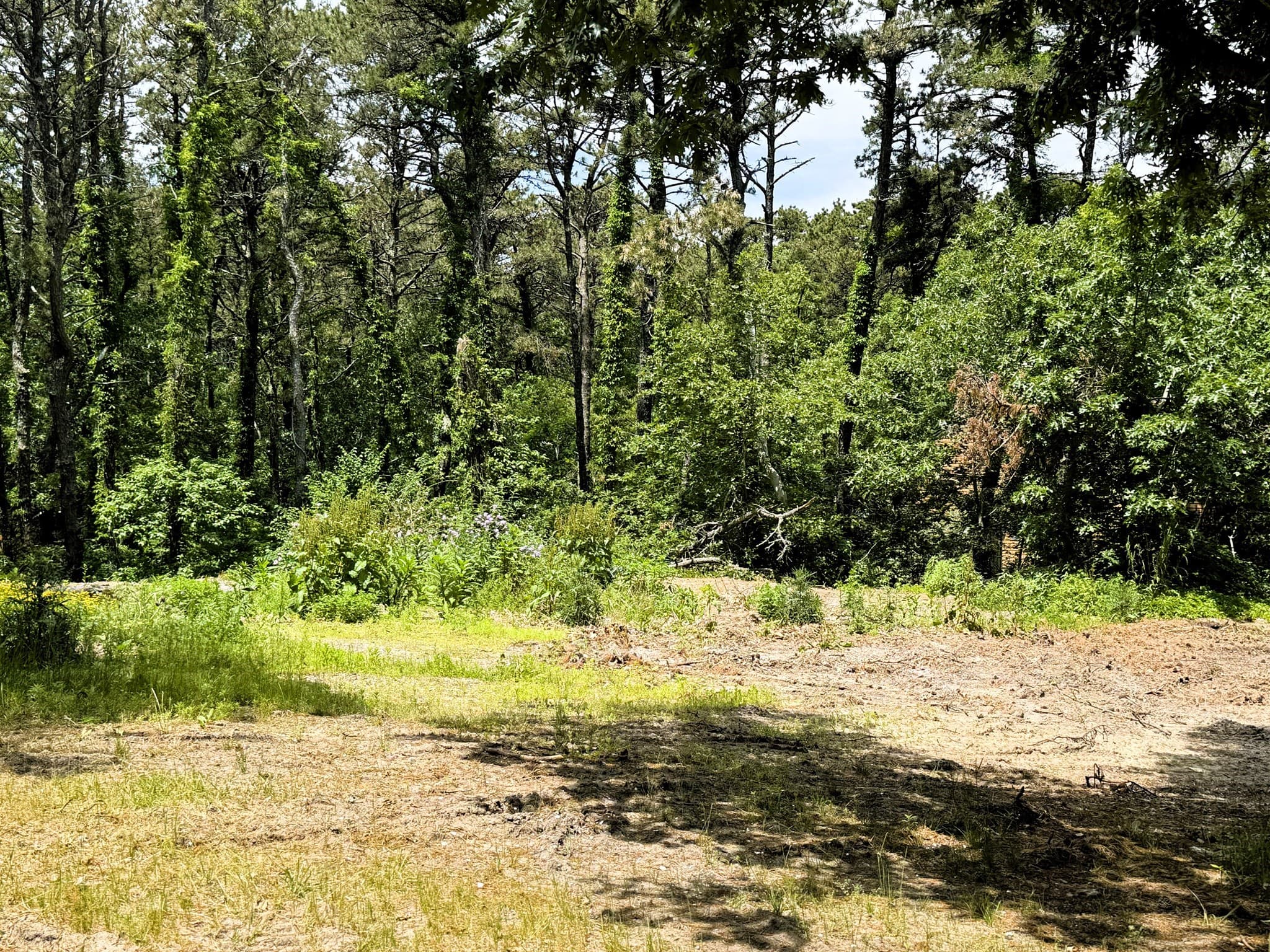 Commercial Sale at 531 Old King's Highway, Wellfleet MA 02667, photo 7 of 7