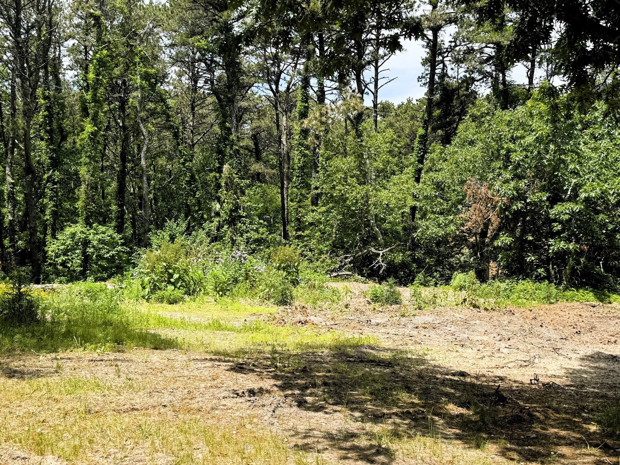 Single Family Residence at 531 Old King's Highway, Wellfleet MA 02667, photo 6 of 7