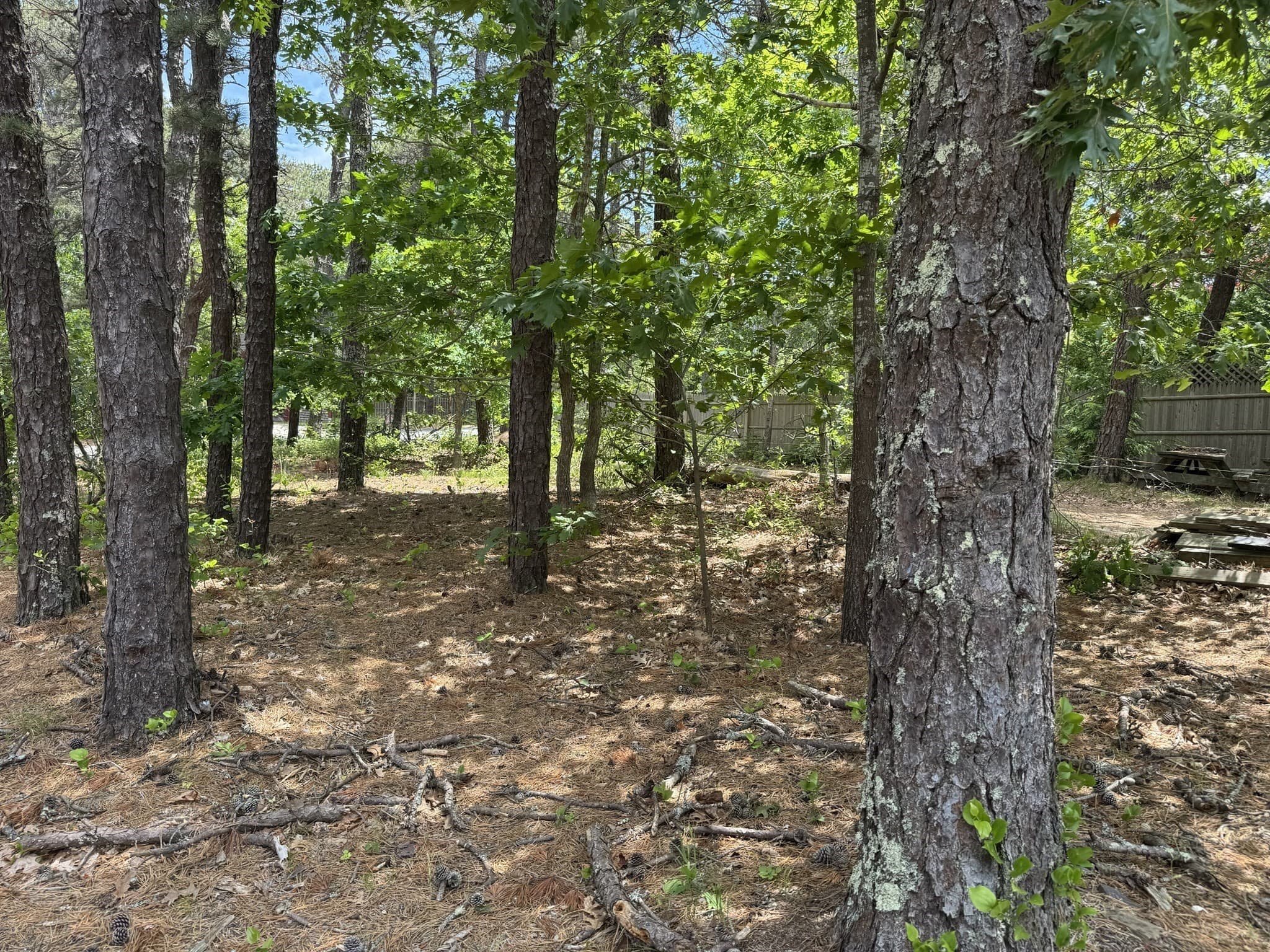 Single Family Residence at 531 Old King's Highway, Wellfleet MA 02667, photo 7 of 7