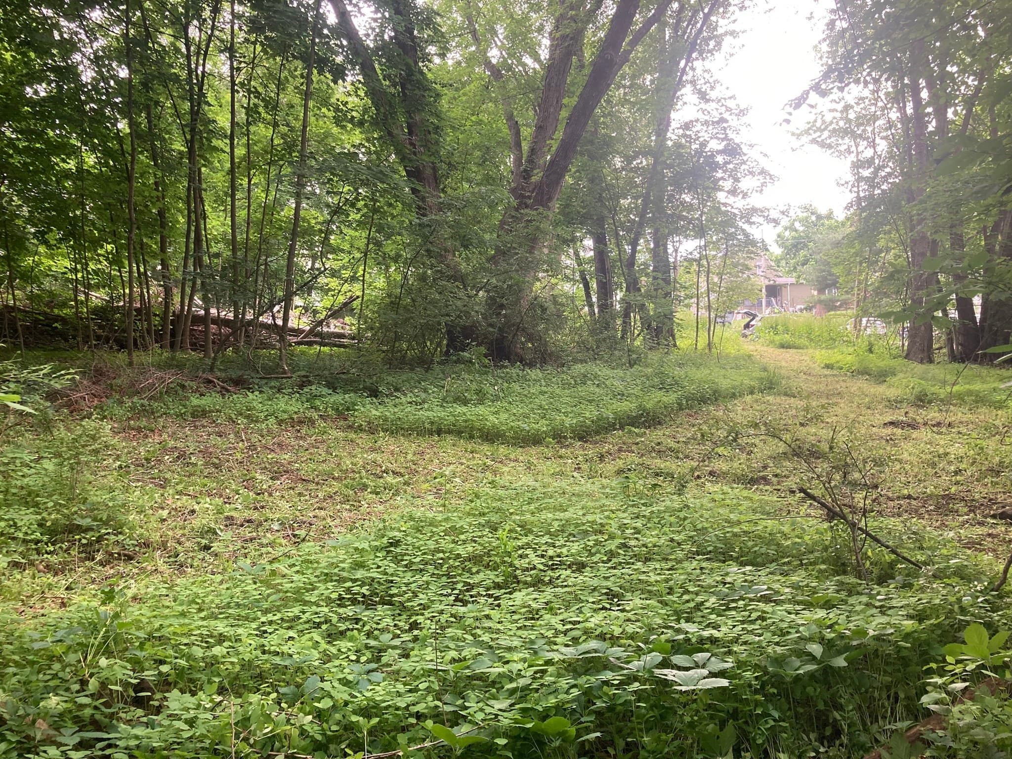 Land at 1 Carpenter Ter, Uxbridge MA 01569, photo 6 of 7