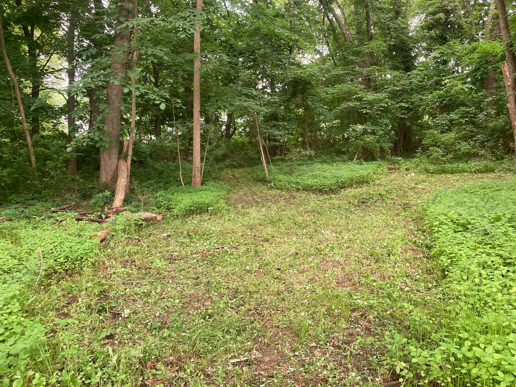 Land at 1 Carpenter Ter, Uxbridge MA 01569, photo 7 of 7