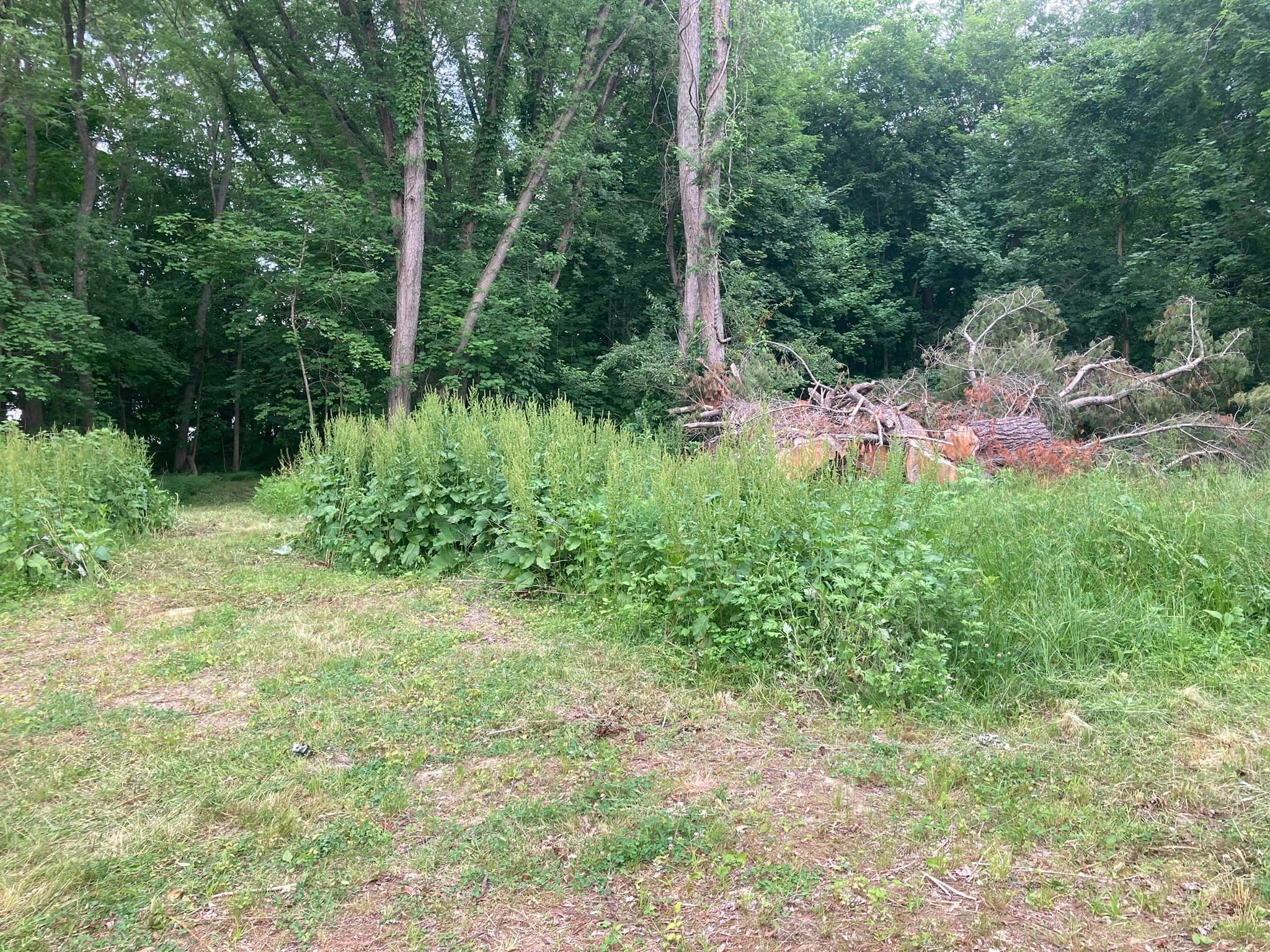 Land at 1 Carpenter Ter, Uxbridge MA 01569, photo 5 of 7