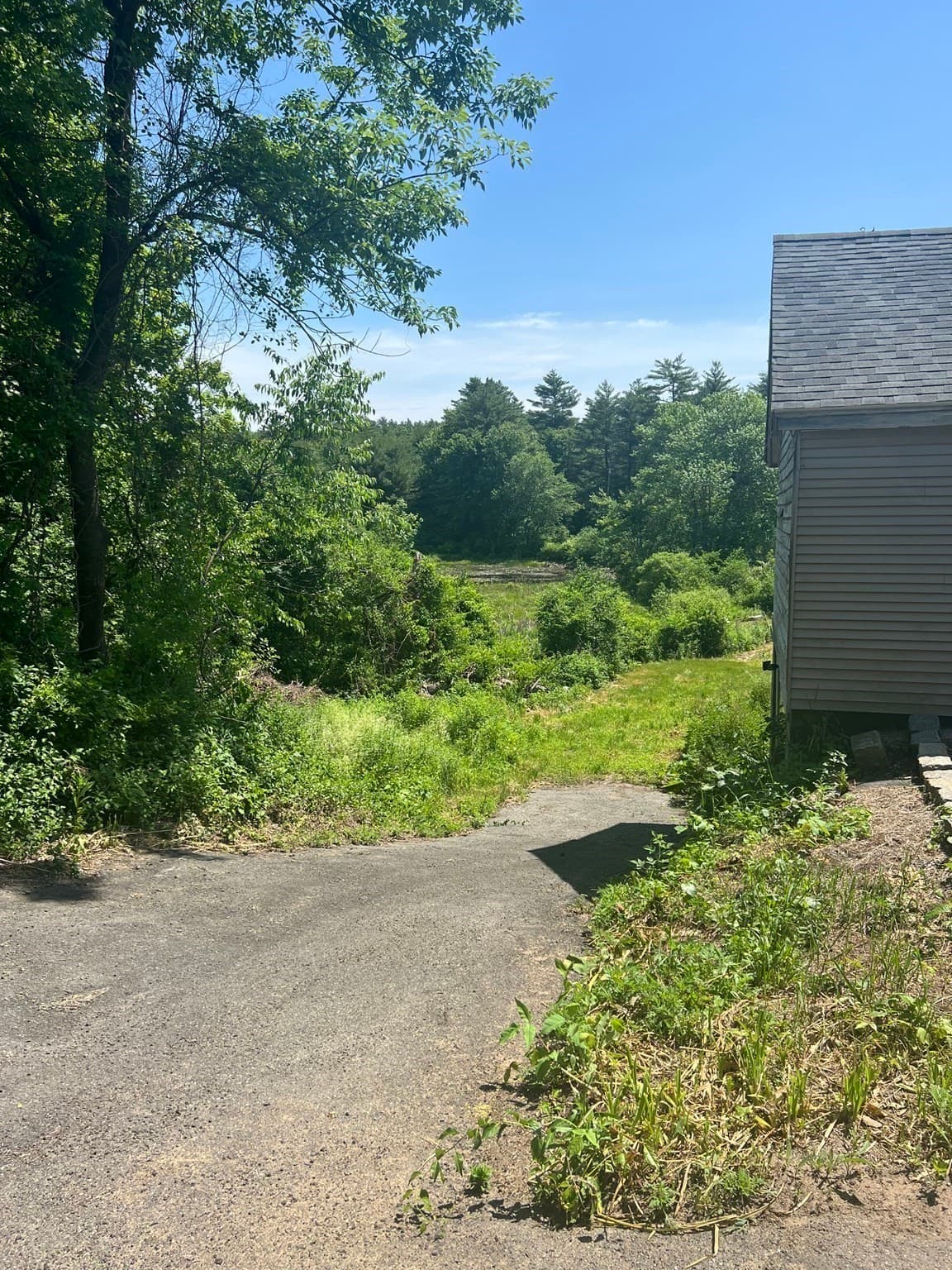 Single Family Residence at 19 Greenwich Plains Rd, Ware MA 01082, photo 9 of 37