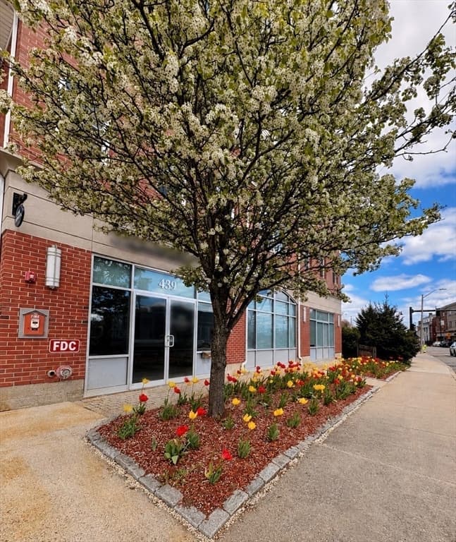 441 Washington St # 203, Dedham MA 02026