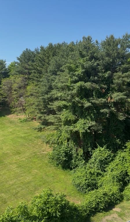 1500 Worcester Rd # 405, Framingham MA 01702 photo 23
