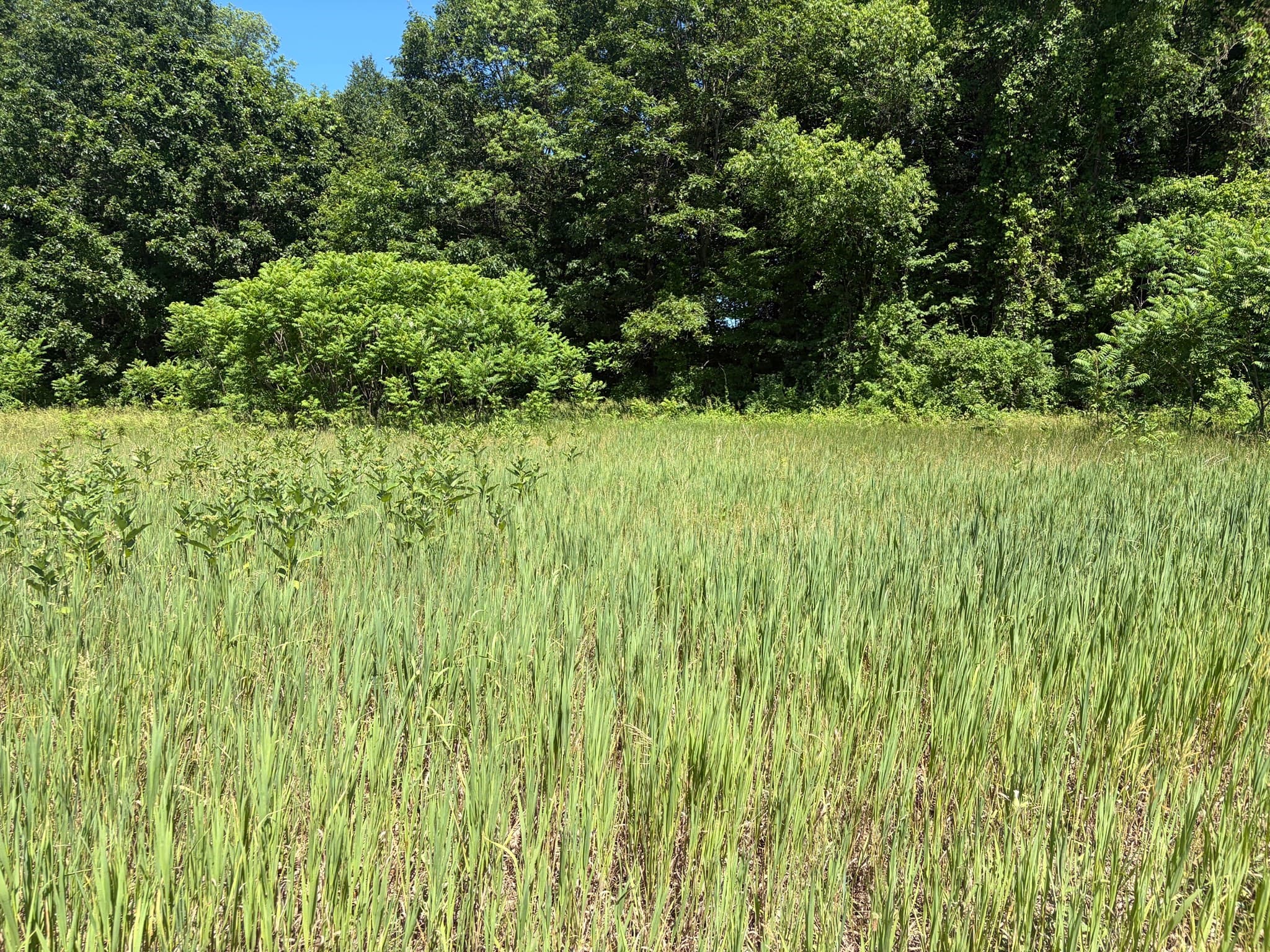 0 Straits Road, Hatfield MA 01038