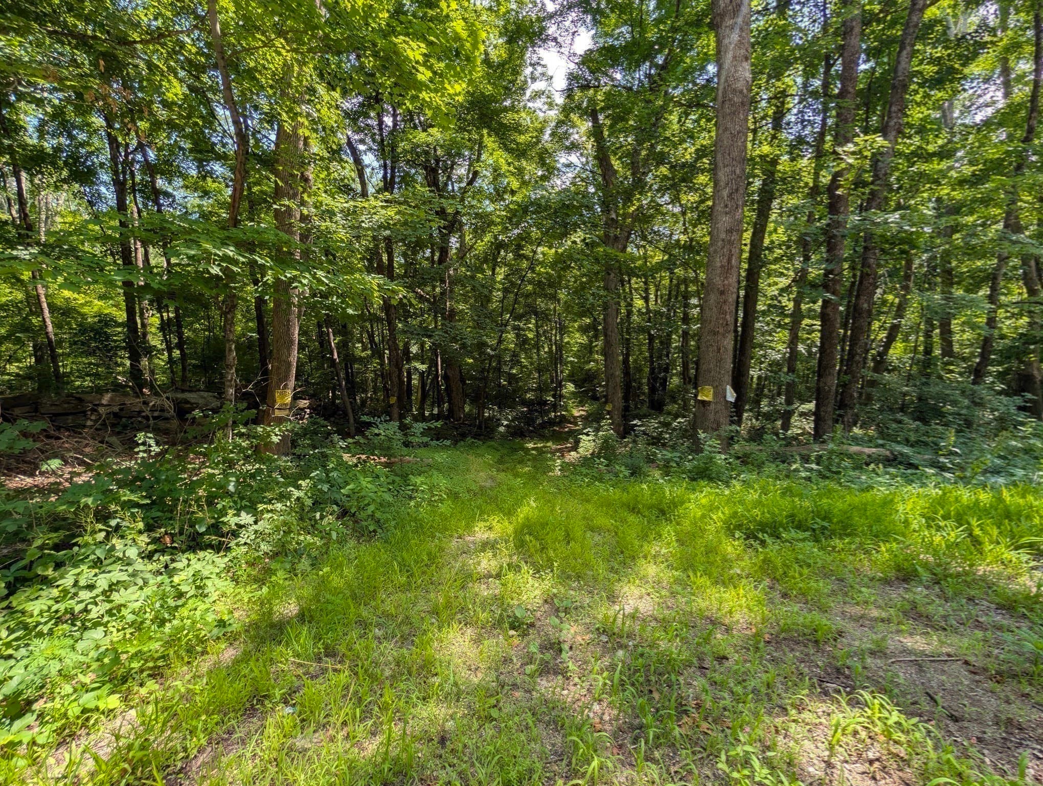 Single Family Residence at 515 Keys, Warren MA 01585, Warren, photo 17 of 21