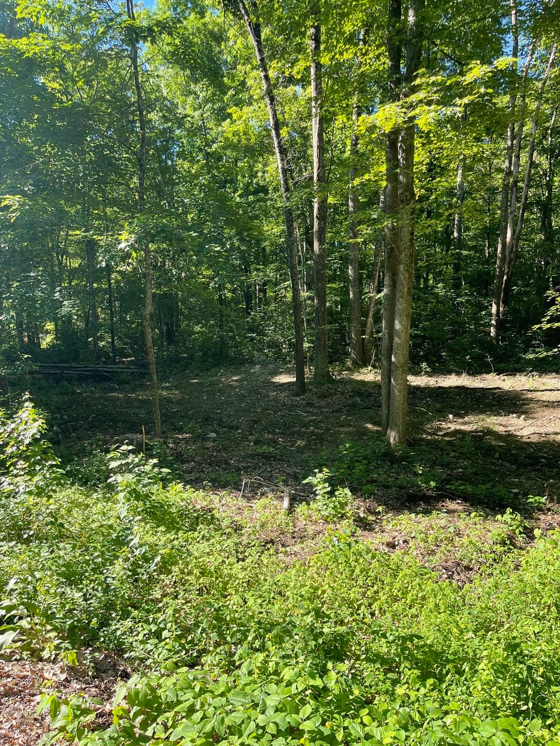 Residential at Lot A Ware Rd, Belchertown MA 01007, photo 3 of 4