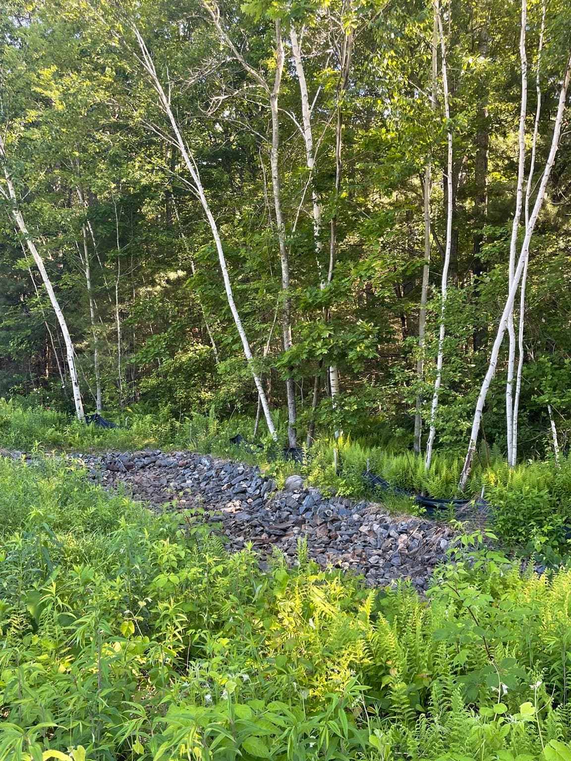 Residential at Lot D-2 Jason's Way, Belchertown MA 01007, Belchertown, photo 2 of 2