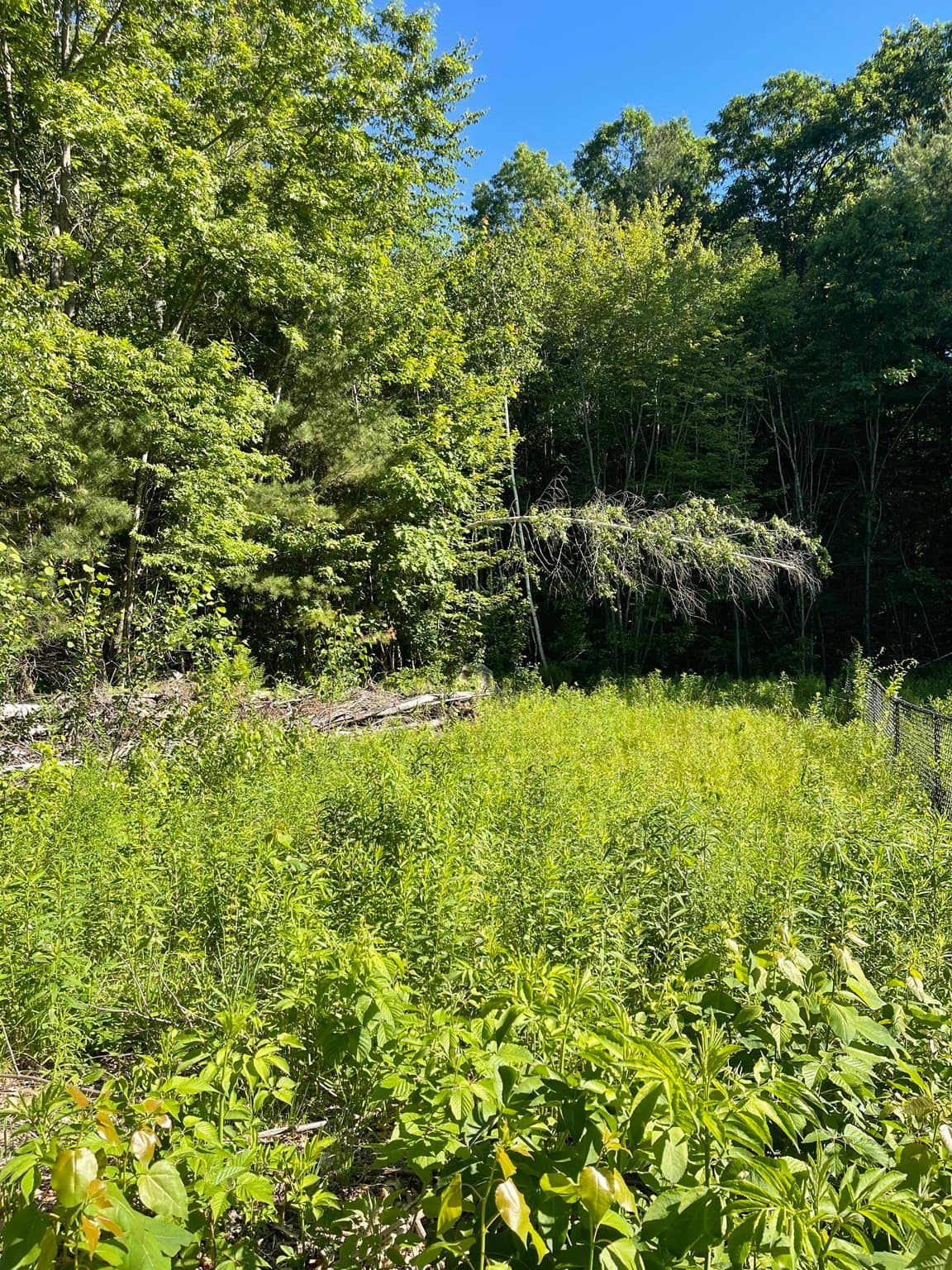 Lot D-2 Jason's Way, Belchertown MA 01007
