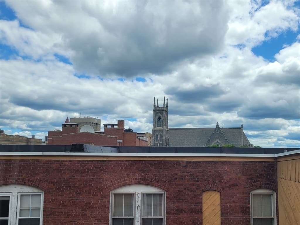 29 Irving Street # 8, Worcester MA 01609 photo 14